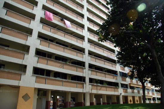 Blk 244 Bukit Panjang Ring Road (Bukit Panjang), HDB 5 Rooms #225432